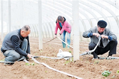 金寨县铁冲乡五强化、五确保做好当前的综治