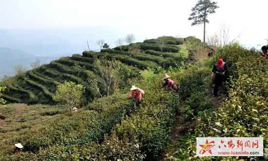 受聘、就职牵涉两家公司 职员无法证明劳动关