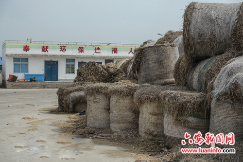 霍邱秸秆回收项目烂尾秸秆堆积成山腐烂严重