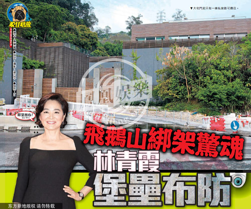 探秘林青霞11亿超级豪宅:高墙围铁丝网 12只狼