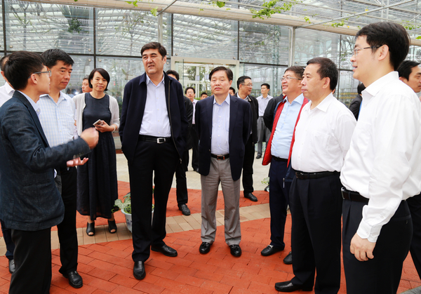 国家能源局局长努尔·白克力到金寨县调研工作