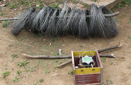 金寨一村民在山上装了2000米长的电网猎捕野