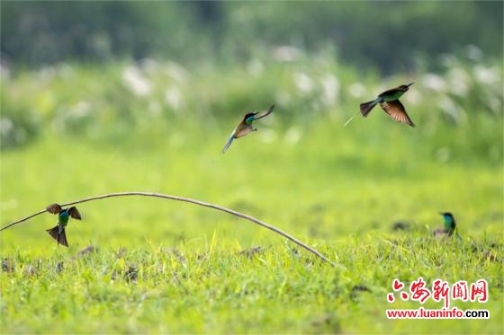 池州房产新政实施一周 销售环比涨104%