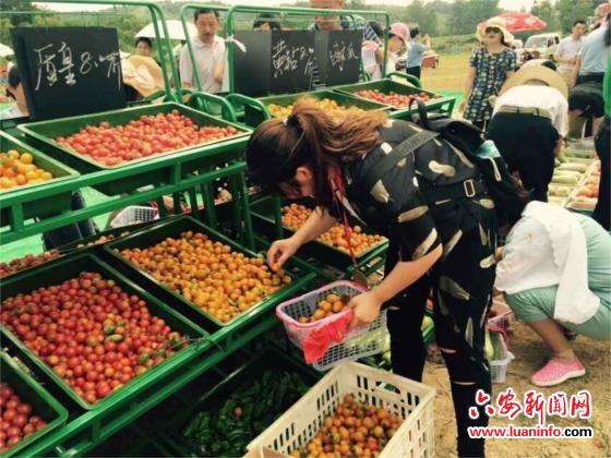 金安区举办首届夏季采摘节