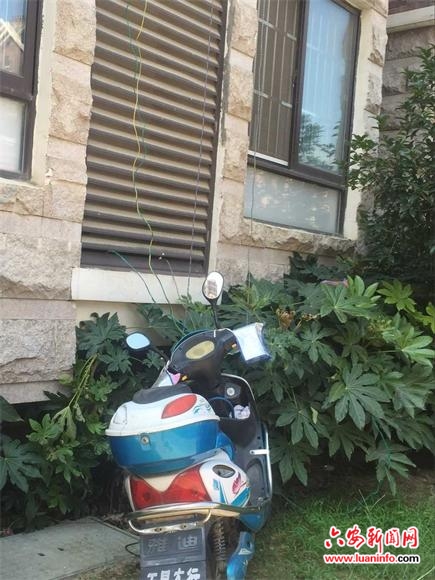 蒋欣机场秀大长腿气质优雅 现双下巴略显发福