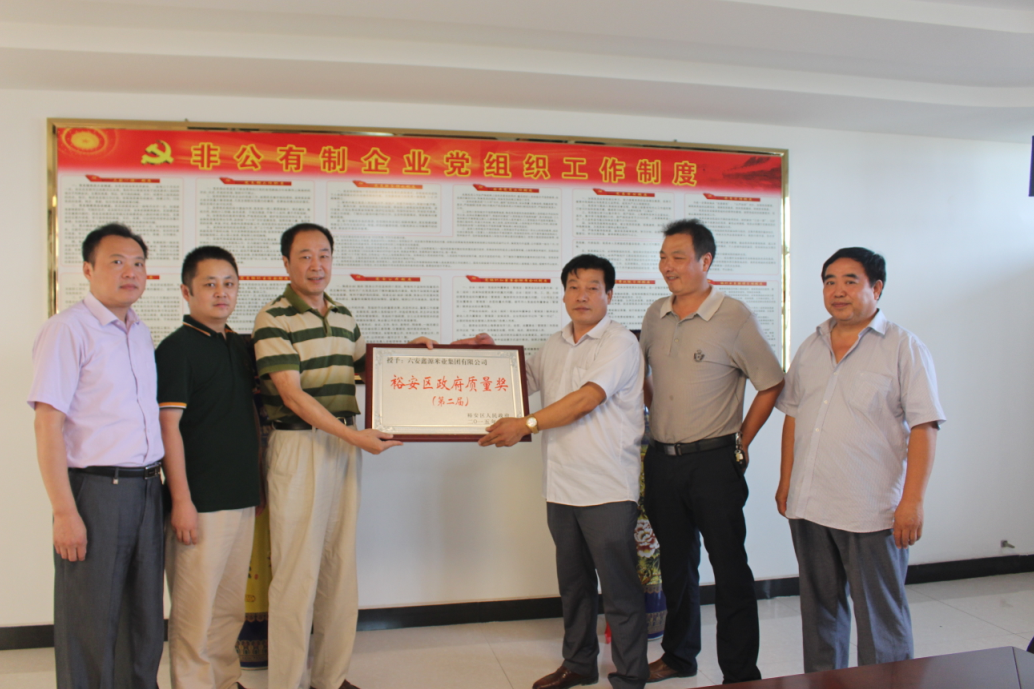 裕安区市场监督管理局为获得政府质量奖的企业