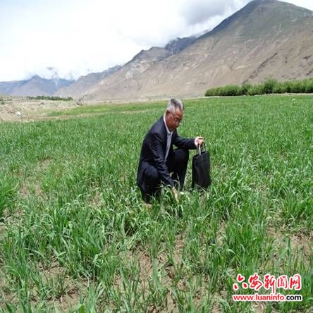 我市专项检查高校学生的纤维用品