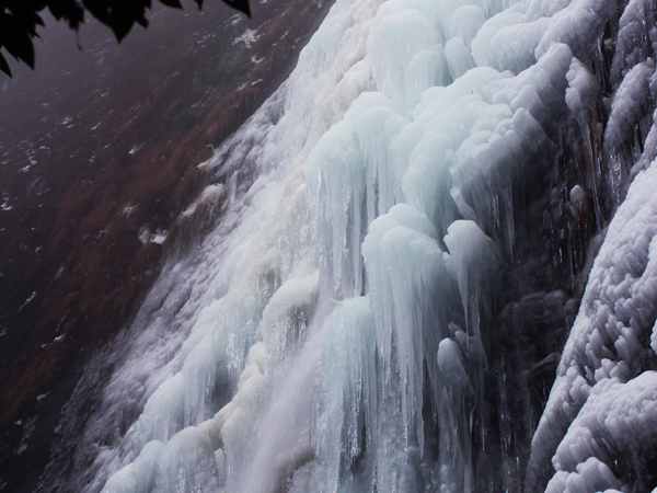 河南电视台《大美金寨》摄制组到天堂寨景区拍