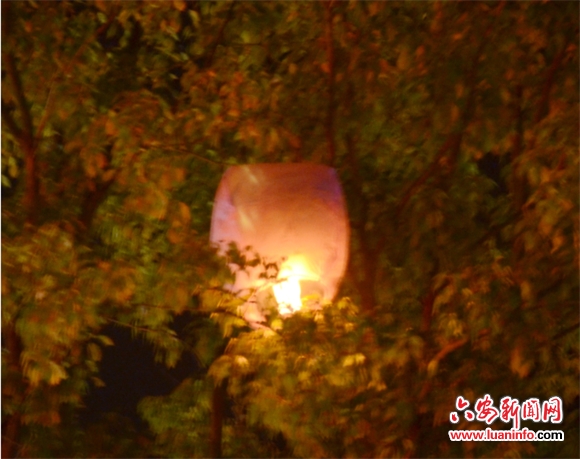 曝宋冬野求婚成功 不姓董 家里没有草原