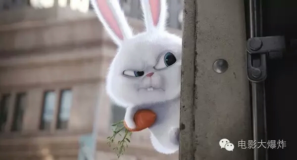 这部比《小黄人》还萌的宠物电影 连反派都是