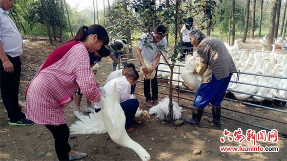 固镇镇三举措扎实开展节后收心工作