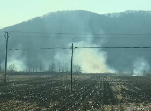 孙艺洲质疑哈尔滨焚烧秸秆致空气污染 环保局