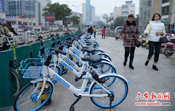 哈罗单车现身六安街头 为市民出行提供更多选