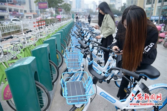 哈罗单车现身六安街头 为市民出行提供更多选