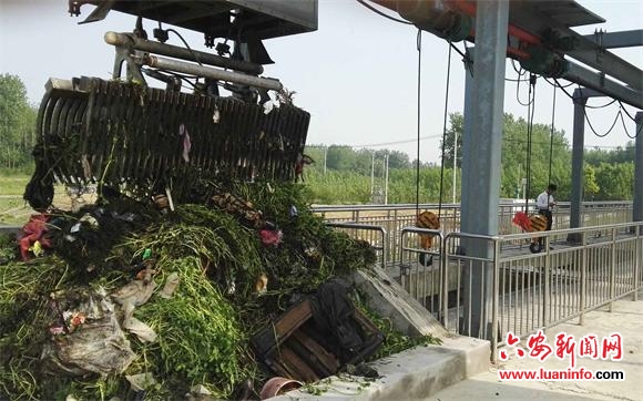 被保险人意外死亡 继承人诉请理赔获支持