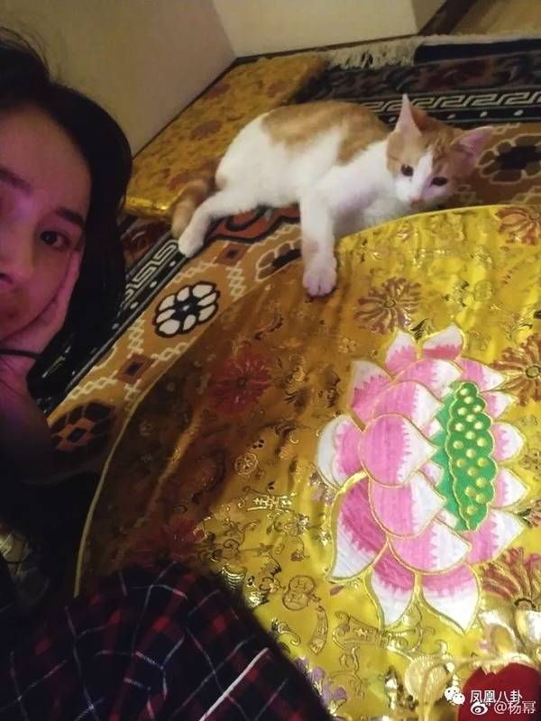 杨幂刘恺威到底有没有一起过年?从过年看明星