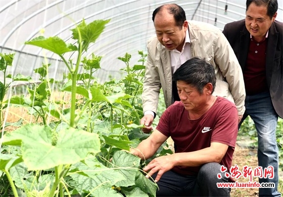 金寨县古碑镇打通落实健康扶贫政策最后一公