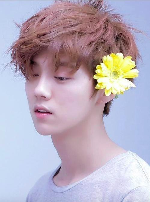 雷佳音回应与刘昊然撞造型:没有蹭热度不想再