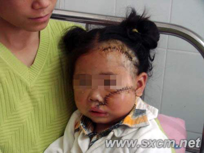 机器灵砍菜刀曲谱分享_机器灵砍菜刀曲谱图片