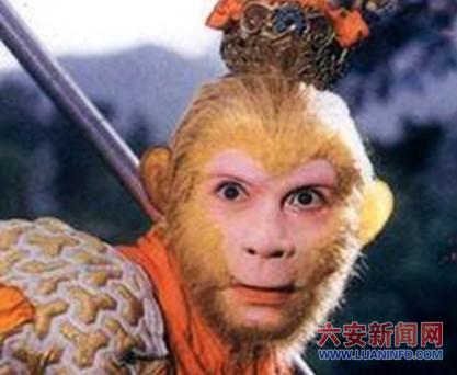 <em>我的兄弟</em>孙悟空-六安新闻网