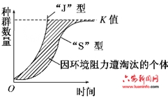 关于“模型构建、问题和案例教学”在高三生物复习课中的应用的函授毕业论文范文