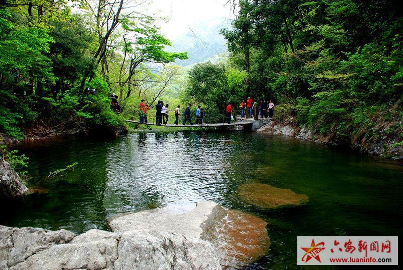 河南采风团来金寨考察旅游线路