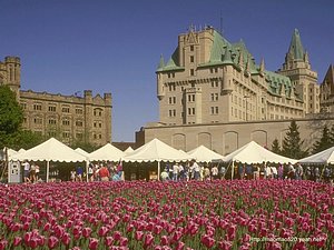 加拿大安大略省知名景点介绍