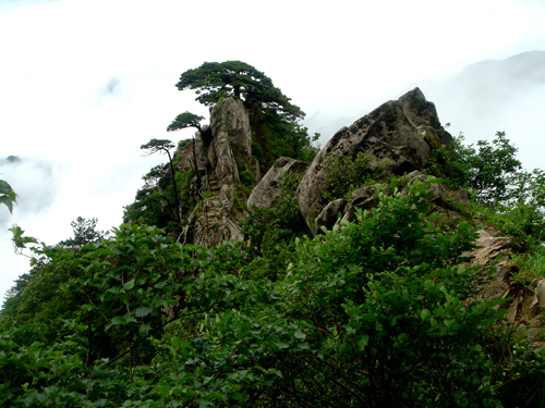 本周景点推荐:龙舒山水画千景万佛山