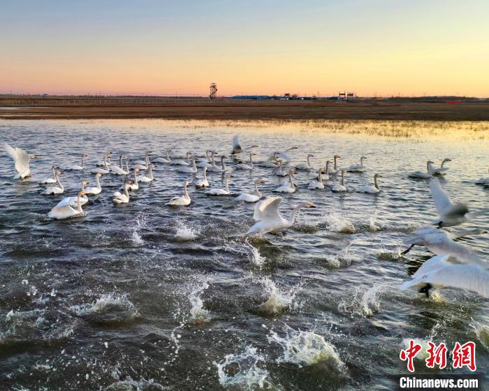 张北县县域内现有湿地约97万亩。口张　袁玉勤 摄