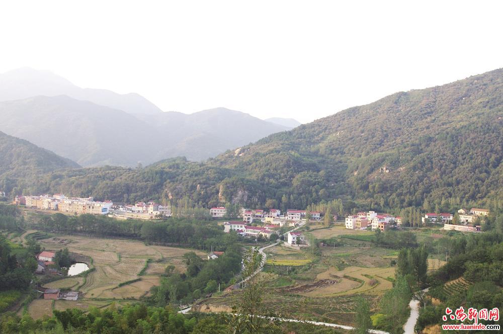 大山里的葡萄熟了                           