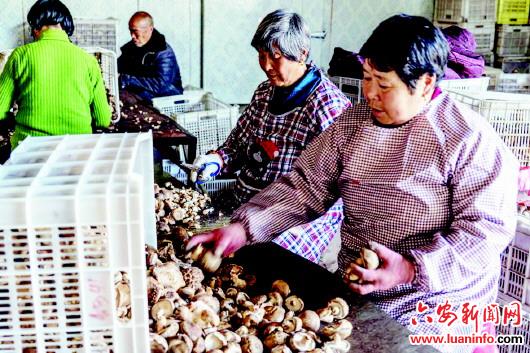 脱贫路上的“老人群像”