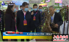 我市组团参展2021中国·合肥苗木花卉交易大会 