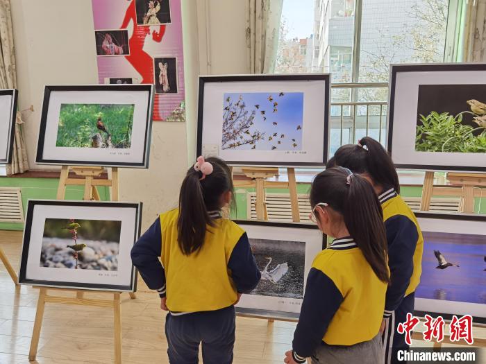 图为野生动物主题的作品吸引孩子们驻足观看。可以让老师和幼儿树立保护生态的意识，　徐雪 　摄