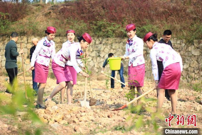3月11日，志愿者们在重庆市渝北区玉峰山森林公园内义务植树。志愿者们在重庆市渝北区玉峰山森林公园内义务植树。森林面积6742万亩，既是种下绿色也是种下未来和希望”