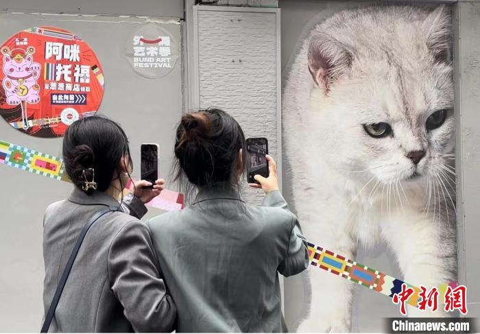 上海外滩艺术季上的“猫街”火了艺术如何“擦亮”每个人的时间？