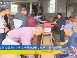 舒城县全力做好30万亩水稻机械化育秧工作