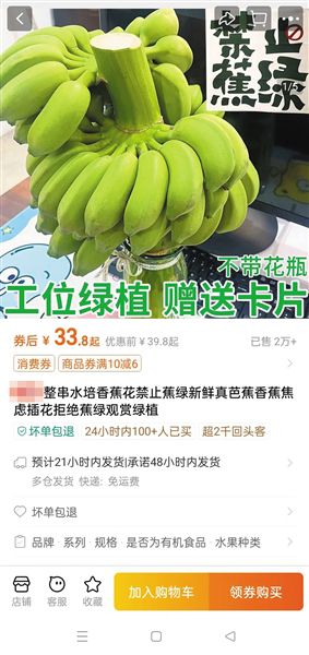“禁止蕉绿”受追捧 带动苹果蕉销量暴增