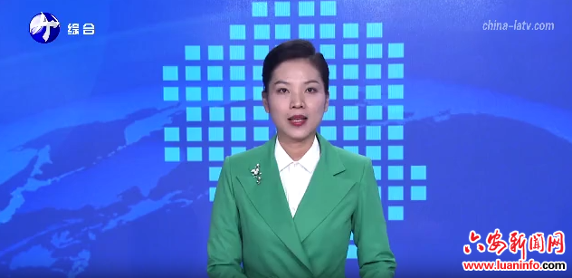 中国共产党六安市第五届委员会第十一次全体会议举行