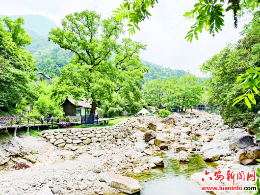 09b143858ed24dfbacf38c6a12d719ff.jpg 09b143858ed24dfbacf38c6a12d719ff.jpg