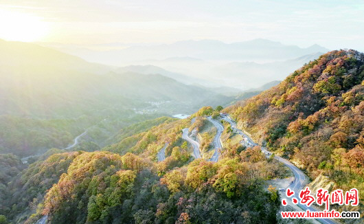 1ddb9123cfbe4f9bbc2b38ff7f1d09f7.jpg 1ddb9123cfbe4f9bbc2b38ff7f1d09f7.jpg