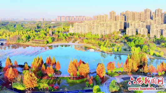 85aed6462279425eb31509fe089cfc57.jpg 85aed6462279425eb31509fe089cfc57.jpg