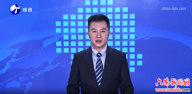 金安区：“金心服务 安心发展”赋能实体经济