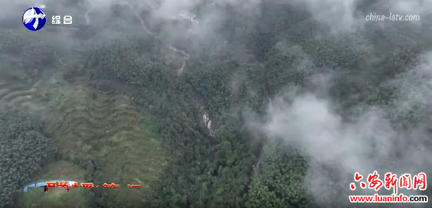 霍山石斛国家地理标志保护示范区获批成立