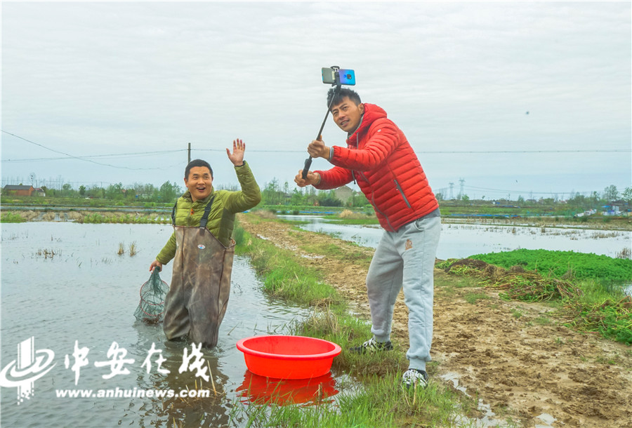 六安这个村试水"直播带货"——"我们的土特产有销路了"