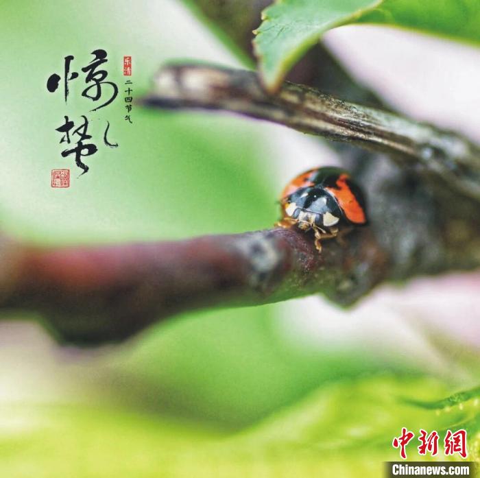 力推传统文化 浙江男子耗时一年独创家乡二十四节气图