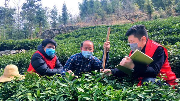 金寨县：金融“活水”流进信用村