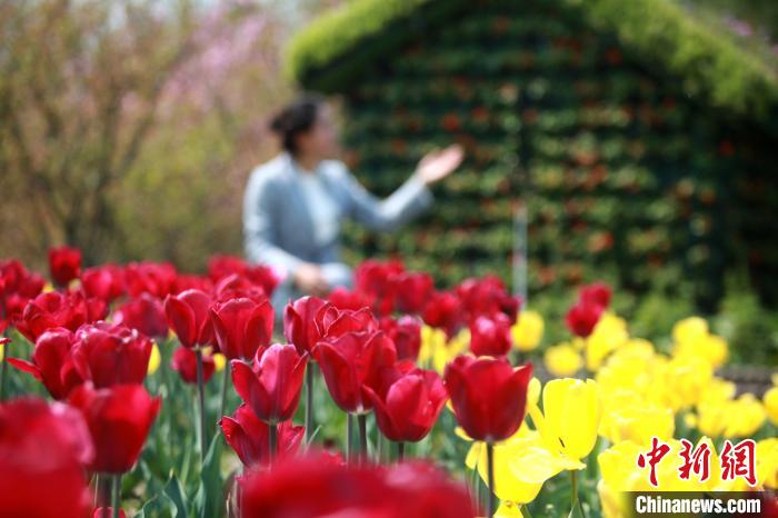 江苏扬州“万花会”云开幕唐代罗城繁花盛景再现