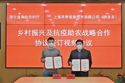 电商助农大有可为 拼多多推出农村“双百万计划”