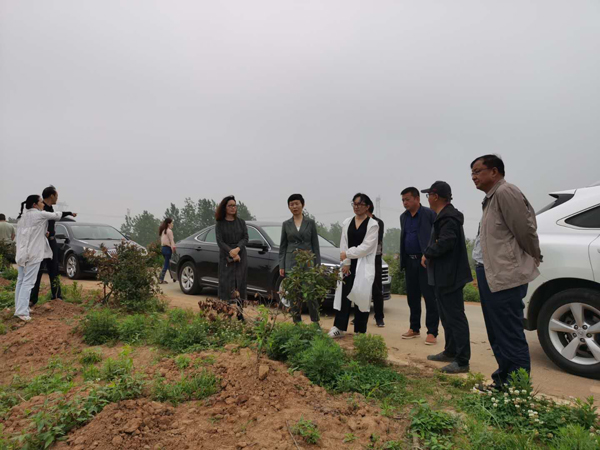 赖红梅：深入县区开展重点项目督查 确保工作落实到位