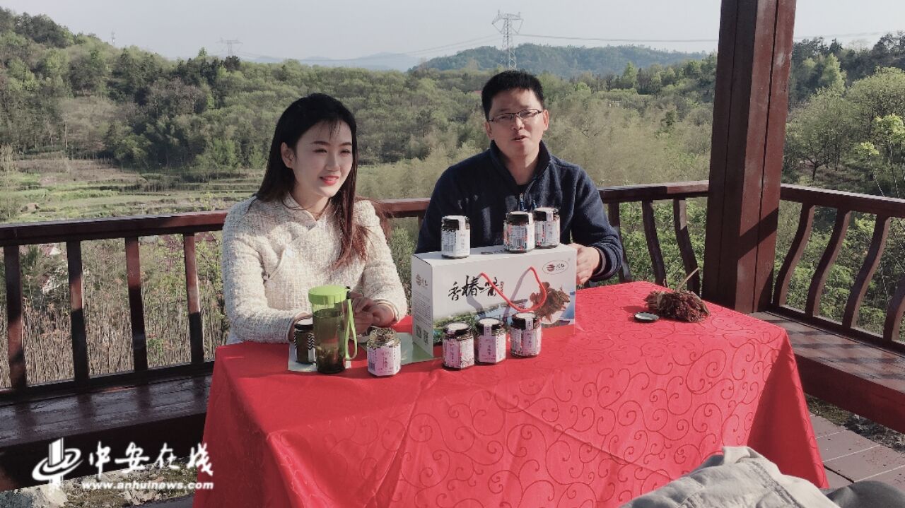 "第一书记夸家底"！网上带货化直播流量为"扶贫力量"